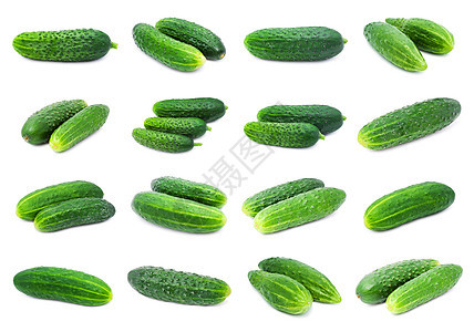 黄瓜植物蔬菜白色绿色工作室农业图片