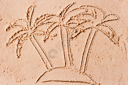 海中一个荒漠岛屿上的三个棕榈树图片