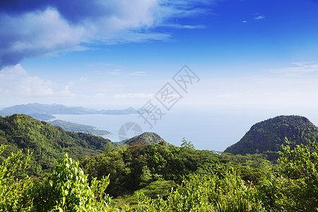 热带岛屿的顶端视图图片