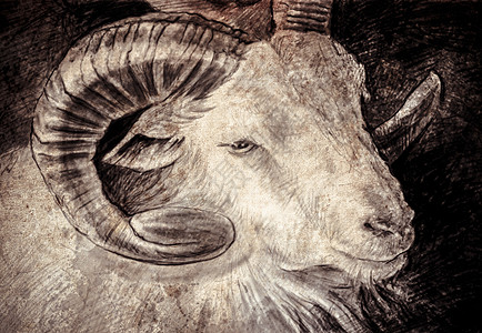 用高角的山羊头数字片做成的拼图绘画头发牛奶食物牛角毛皮羊肉农场艺术卡通片图片