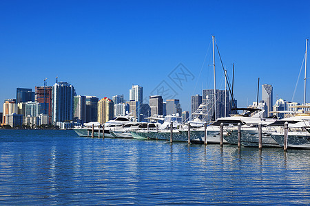 佛罗里达州迈阿密市中心大楼手掌港口建筑学海洋城市旅游天际摩天大楼海岸图片