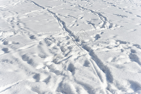 雪雪中的雪纹理和脚印图片
