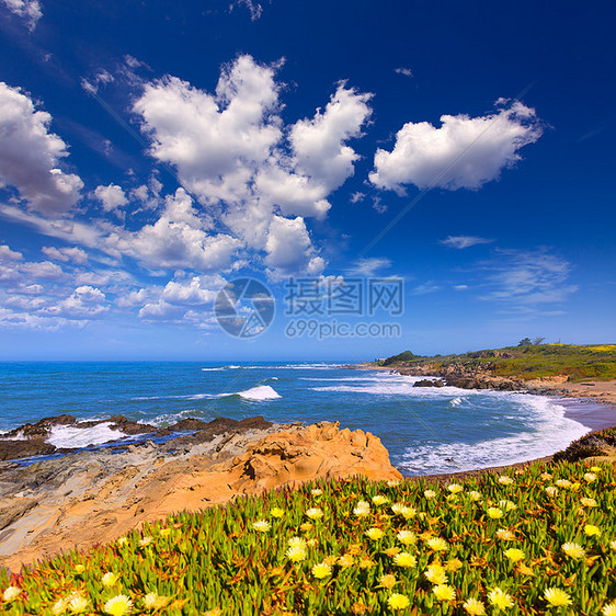 的加利福尼亚比恩霍洛州海滩波浪海景旅游地标海岸线公园晴天花朵路线岩石图片