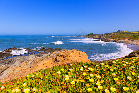 的加利福尼亚比恩霍洛州海滩海洋旅行沿海假期海岸线花朵旅游岩石波浪公园图片