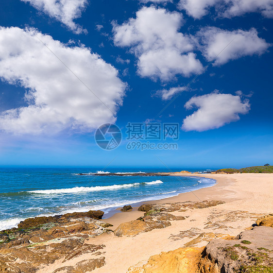 的加利福尼亚比恩霍洛州海滩蓝色花朵沿海地标旅游假期晴天支撑海岸石头图片