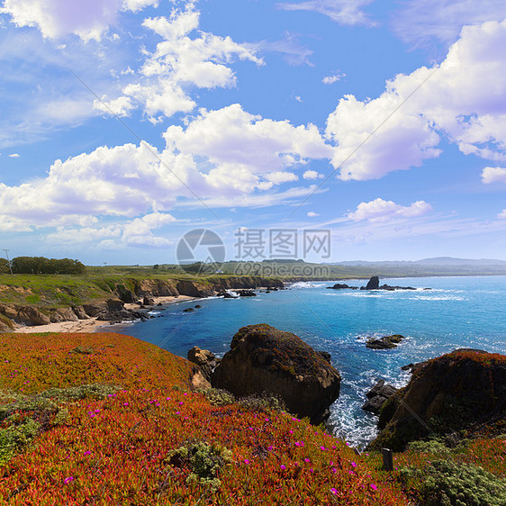 沿海1号的加利福尼亚点海滩波浪石头鸽子海岸旅行支撑海洋路线旅游海景图片