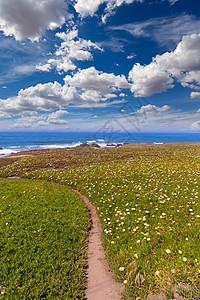 沿海1号的加利福尼亚点海滩石头花朵路线旅行支撑海洋鸽子地标波浪蓝色图片