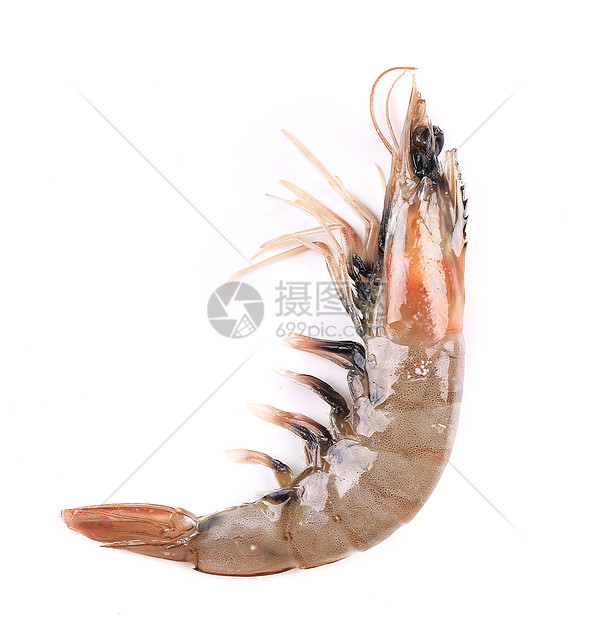 靠近新鲜虾贝类养殖水产海鲜午餐白色甲壳动物营养美食图片