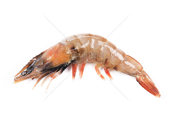 靠近新鲜虾午餐养殖饮食甲壳动物美食白色贝类海鲜营养图片