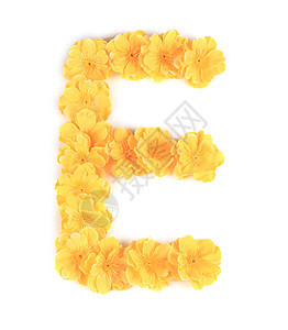 字母E花型字母表图片