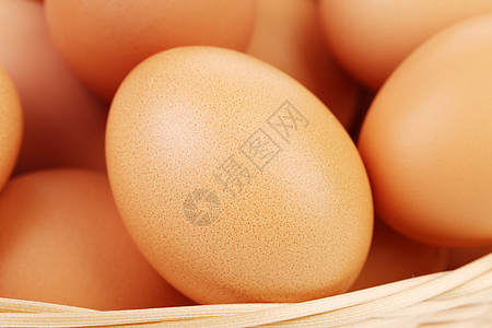 供市场销售的新鲜鸡蛋的背景背景早餐食物母鸡椭圆形家禽蛋壳美食产品生活动物图片