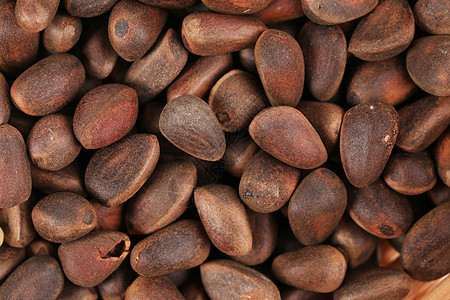 大量的松果种子白色坚果食物水果棕色植物针叶松树图片
