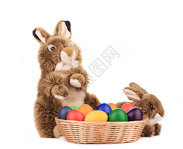 带复活节鸡蛋的篮子里有毛发狐狸兔子眼睛爪子动物生物脊椎动物白色宠物尾巴农场木头图片