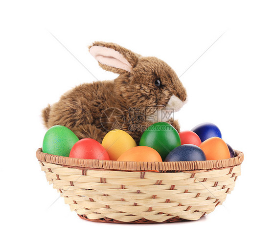 复活节鸡蛋和篮子隔离红褐色动物耳朵尾巴白色兔子野兔生物眼睛木头图片