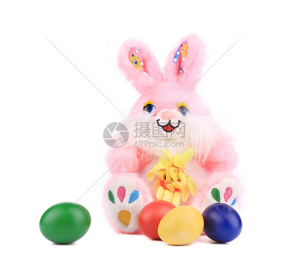 带复活节鸡蛋的篮子里有毛发狐狸兔子动物尾巴野兔毛皮投标脊椎动物红褐色宠物耳朵白色图片