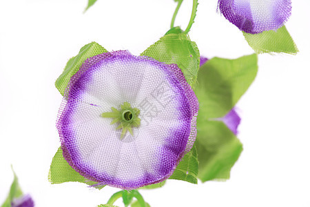 近距离的人工花朵植物群绿色紫色植物叶子薰衣草花粉星形白色宏观图片