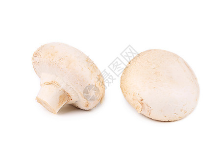 白蘑菇关门了白色蔬菜图片