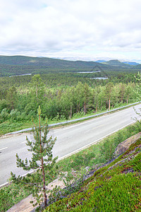 森林和道路的景观季节场景地平线草地天空公路蓝色土地旅行木头图片