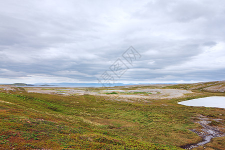 挪威北部地貌景观海滩苔原海岸支撑石头草地天空农村地平线苔藓图片