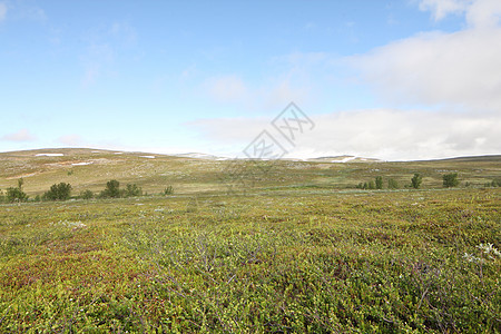 Tundra 景观苔原公园荒野场景石头风景高地天空地形全景图片