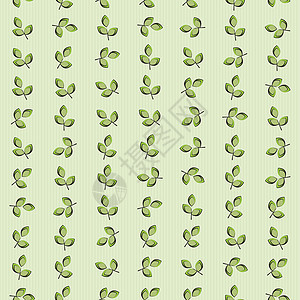 绿树叶条纹背景生长风格装饰品植物学漩涡生物学装饰草本植物光合作用叶绿素图片