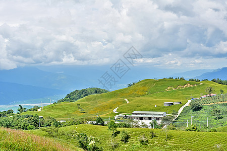 Hualien乡边农村植物天堂地形雌蕊植物学天空百合环境花瓣图片