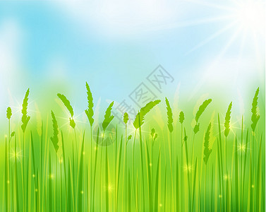 草叶子艺术太阳阳光植物天空晴天公园农村生长图片