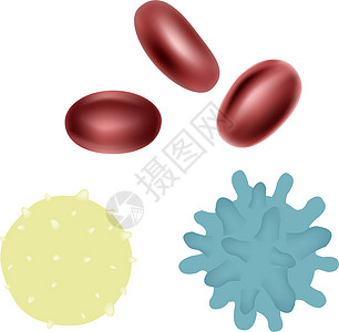 乙烯疾病生活细胞器官细菌微观红细胞血清治疗生物学图片