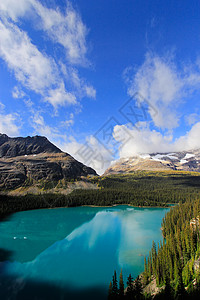 加拿大不列颠哥伦比亚省约霍国家公园奥哈拉湖高原荒野松树风景反射冰川高山森林树木公园图片