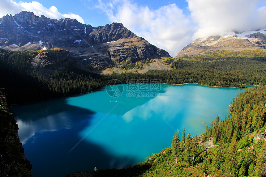 加拿大不列颠哥伦比亚省约霍国家公园奥哈拉湖公园树木蓝色反射天空高原风景森林松树荒野图片