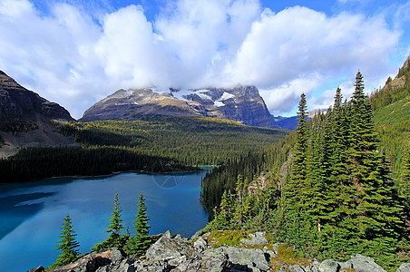 加拿大不列颠哥伦比亚省约霍国家公园奥哈拉湖公园荒野风景国家树木蓝色高原冰川森林反射图片