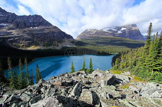 加拿大不列颠哥伦比亚省约霍国家公园奥哈拉湖反射风景松树国家高原冰川公园高山蓝色天空图片