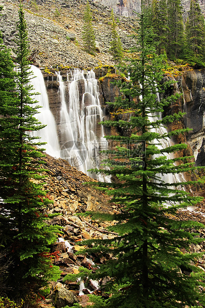 加拿大Yoho国家公园OHara湖七韦利斯瀑布冰川风景树木高山公园国家反射瀑布荒野蓝色图片