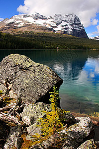 加拿大不列颠哥伦比亚省约霍国家公园奥哈拉湖反射蓝色树木荒野高山国家松树公园森林高原图片