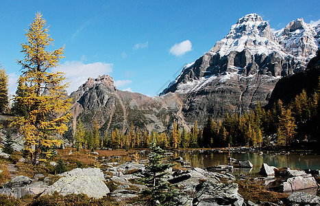 加拿大约霍国家公园Huber山和Opabin高原松树冰川风景公园天空蓝色高山国家森林反射图片