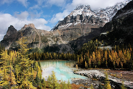 加拿大约霍国家公园Huber山和Opabin高原公园反射荒野松树蓝色森林天空国家冰川树木图片