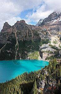 加拿大不列颠哥伦比亚省约霍国家公园奥哈拉湖松树反射荒野风景天空公园树木高山蓝色冰川图片