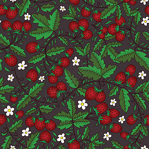 黑暗背景的野草莓花朵图片