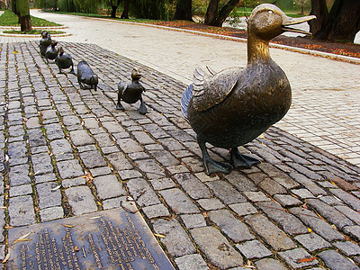 为鸭子雕塑让路 诺沃德耶维奇公园 莫斯科 拉斯图片