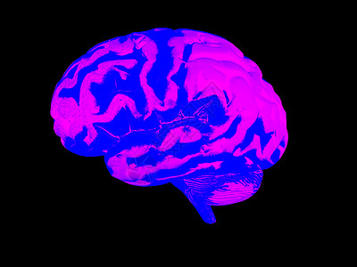 3D人脑智慧知识分子神经插图外科专注生物学保健神经系统思考图片