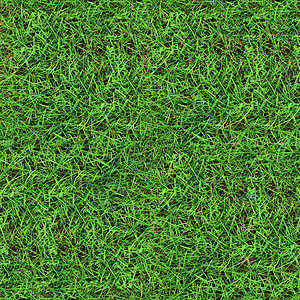 绿草无缝纹理场地叶子草本植物环境植物草原土地草叶草皮刀刃图片