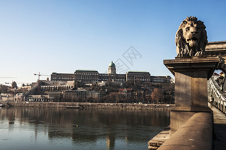 布达佩斯旅行城市建筑雕像链桥观光蓝色景观历史性历史图片