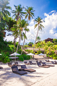 拥有雨伞和沙椅的热带空沙滩平地天堂景色椅子蓝色海景旅行海岸线休息室海岸晴天天蓝色图片