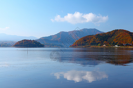 森林湖秋天天空河流叶子日落公园阳光荒野破坏森林反省图片