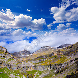 苏阿索市马戏团的树干山谷丛林树木植被季节旅行顶峰公园环境图片