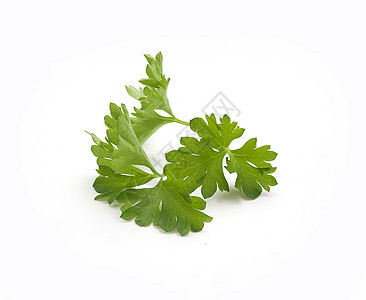 帕斯利生产草本植物树叶食物绿色背景图片