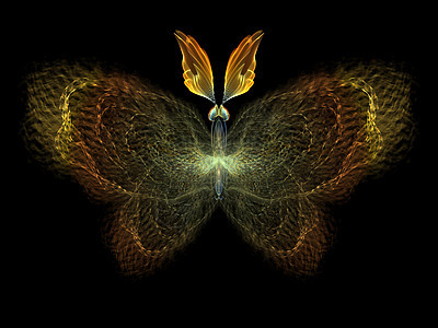 分形蝴蝶创造力昆虫学插图想像力野生动物翅膀眼睛渲染数学宏观图片