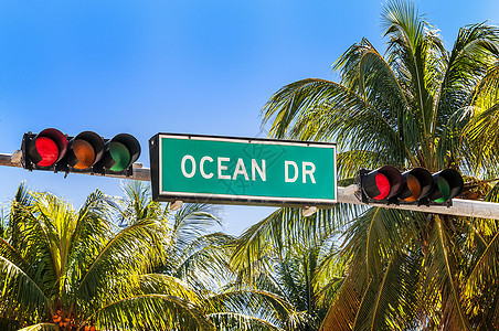 美国弗洛里德迈阿密海滩吸引力历史性红绿灯艺术地标建筑物街道城市生活装饰手掌图片