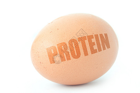 蛋白素饮食食物营养来源图片