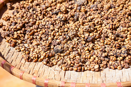 科皮卢瓦咖啡豆农场动物宏观种植园粪便咖啡美食图片